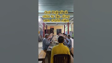 Quý Phật tử về chùa tu tập, dùng cơm chánh niệm | Một ngày An lạc | @binhyenradio7 #thichnhatdao