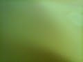 Ylina Ninja SAMY MAYACE LIVE Razmoid Song Version Ylina Ninja SAMY MAYACE LIVE Razmoid Song Version