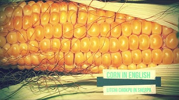 Vegetables in Sherpa Language