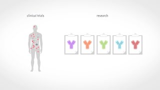 Exposing the Enemy - AI Detection of Metastases