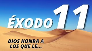 Estudio Bíblico Éxodo 11 Dios Honra A Los Que Le Honran Reflexión Del Capítulo
