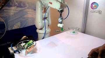 robotic vision sorting