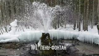 Гейзеры в Гатчине Гейзеры в Гатчине