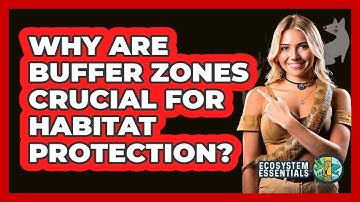 Why Are Buffer Zones Crucial For Habitat Protection? - Ecosystem Essentials