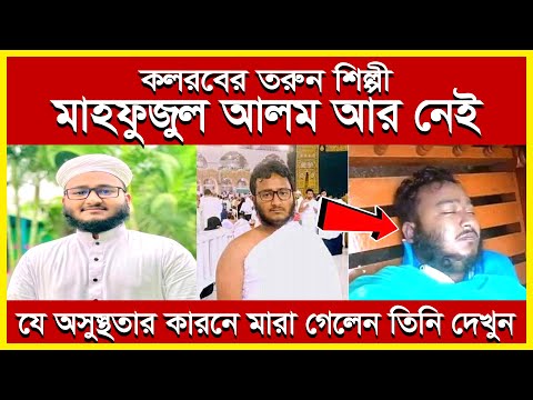 ভিডিও: 