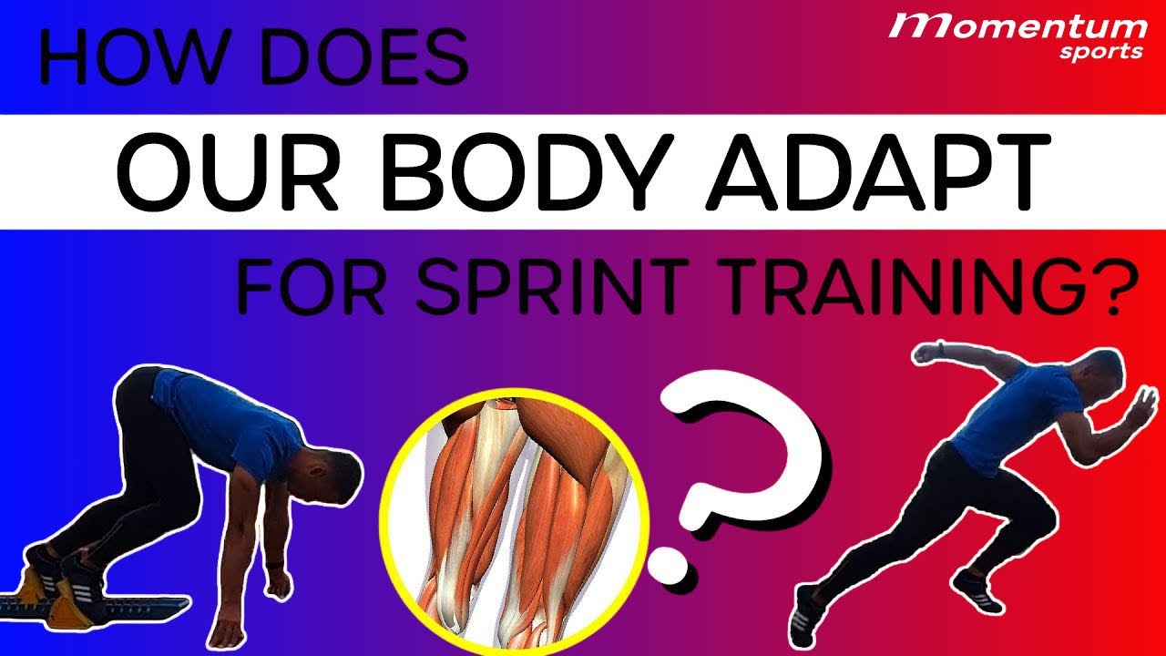 Want to get Faster? Sprint Training Adaptation - what happens to our ...