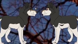 Audition for Silvers Path by Lynnzl|Canceled