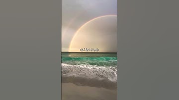 { لا تدري لعل الله يحدث بعد ذلك امرا } تلاوة هادئة بصوت شريف مصطفى 🤍 #quran #اكسبلور #follow #لايك