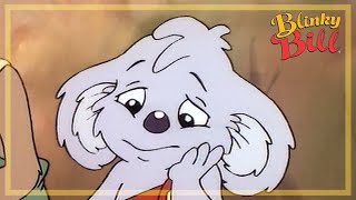 Blinky Bill´s Favourite Cafe - Episode 1 - The Adventures of Blinky Bill - Blinky Bill