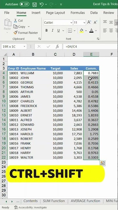 How to Show Database Amounts in Percentage in Microsoft Excel? - YouTube