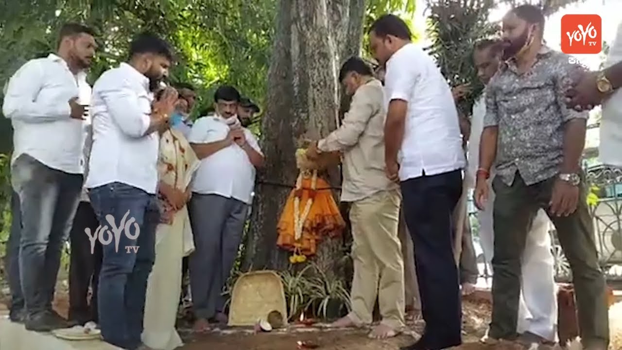 KPCC DK Shivakumar Planting Trees Karnataka Congress News DKS News YOYO TV Kannada YouTube