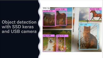 Object detection with SSD keras and a USB camera
