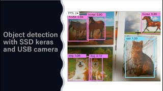 Object detection with SSD keras and a USB camera