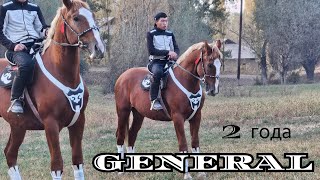 картинка: ГЕНЕРАЛ КЕЛДИ