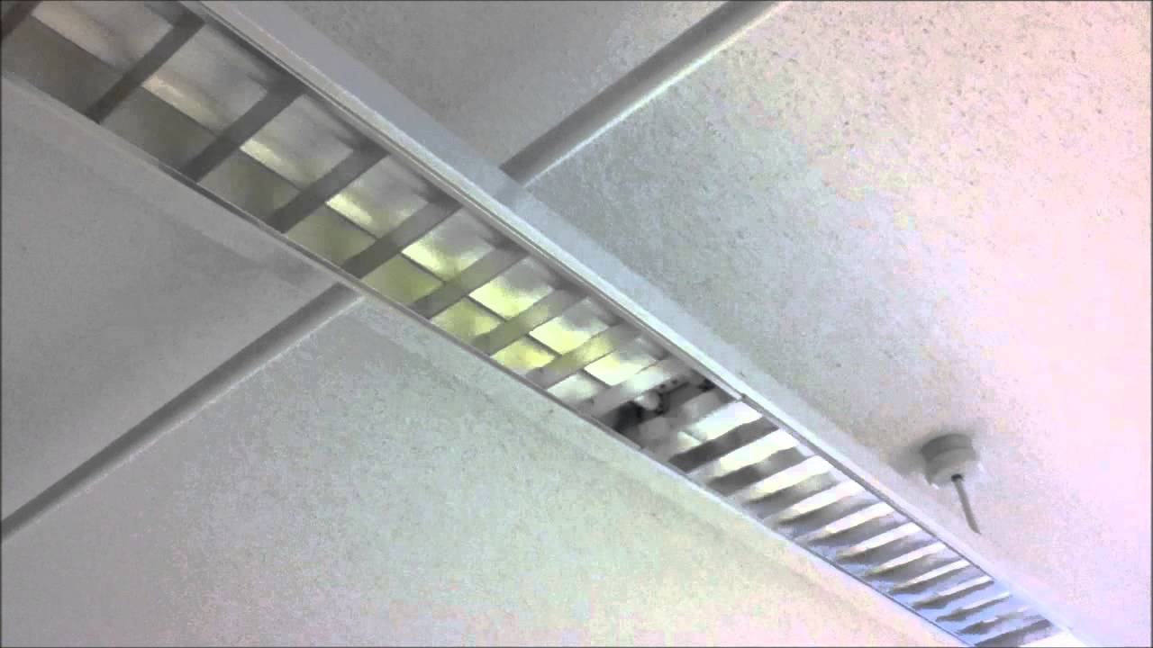 2 F32T8 Fluorescent Fixtures Burning Out in Class AaronTheEagle1