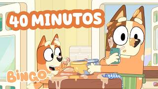 bingo Cocina Una Omelette    Recopilacin De Clips  Bingo  Espaol Canal Oficial