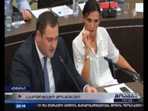 მთავრობის განახლებულ შემადგენლობას კომიტეტებში მოუსმინეს