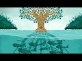 How a Tree is Saving Communities in the Philippines