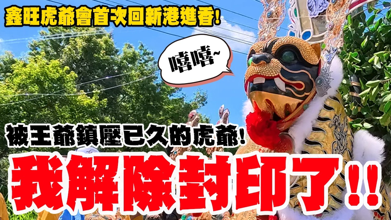 【蔡淘貴跑廟會】EP326 終於解除封印了!! 王爺點頭取下九節鞭!!虎爺終於可以出來放風了!! 我們鑫旺虎爺會首次回新港進香! #金虎爺 #宮廟 #進香團