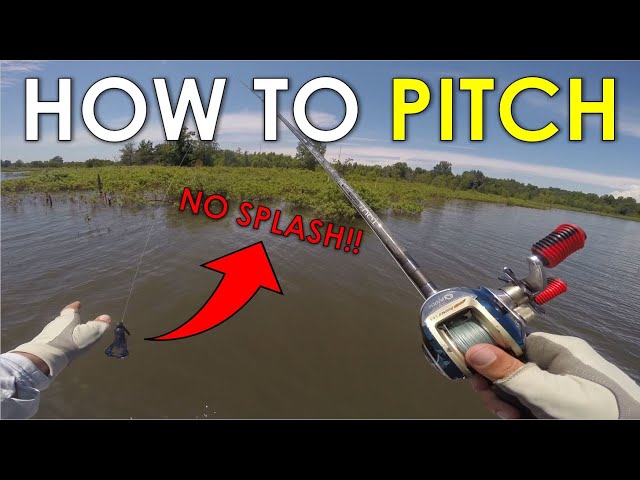 How to Pitch a Fishing Lure  Pitching Technique Explained for Beginners  and Casting Tips 