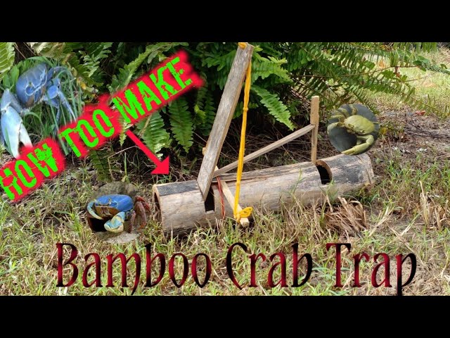 How Too..Make A Bamboo Crab Trap( Iguana Sighting).Ep.3 