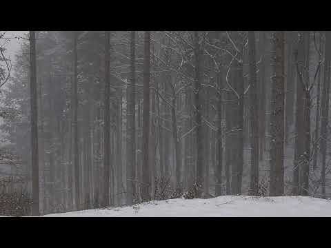 خلفية تساقط ثلوج جميلة جدا مقاطع فيديو مجانية بدون حقوق الطبع والنشر