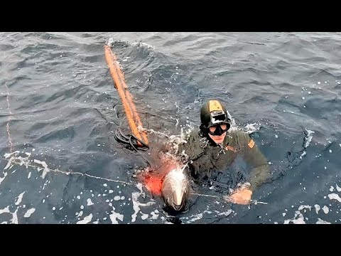 I GAVE a Complete STRANGER the Most EXPENSIVE Fish in the WORLD (Surprise Catch Clean & Cook)