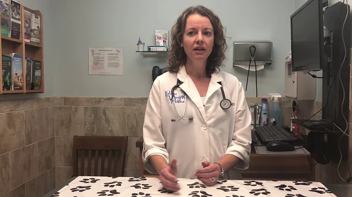 Grain-Free Diets and DCM in Dogs. Lombard Veterinary Hospital