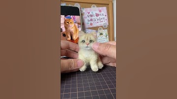 Create a custom felt portrait to immortalize your pet’s charm!