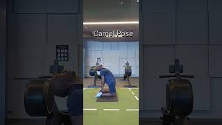 Camel Pose