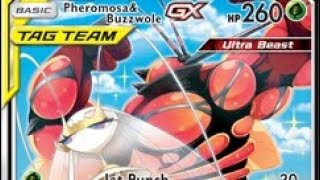 Beauty And The Beast, Pheromosa & Buzzwole Pokémon
