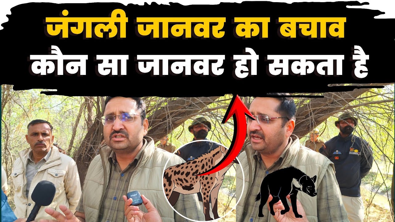 बिरकाली में कौनसा हो सकता है जंगली जानवर,  अगर करे हमला तो कैसे करें बचाव देखें –