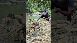 Bersarang dipinggir sunagai #shortvideos #explore #trending