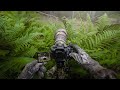 POV: Two Months Searching for Badger & Fox Cubs in Sweden