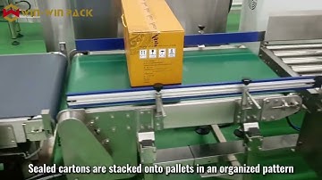 WIN-WIN PACK Automated Packaging Line For Boxed Red Wine | Case Packer & Palletizing