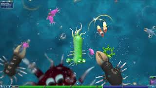 I'm an ugly creature | A Spore VOD