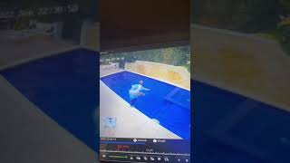 Jojo Siwa Disclaimer Theyre Best Friends, He Just Wanted To Play With Her And He Forgets His