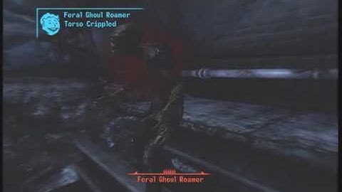 Fallout 3 Walkthrough Part 79: The Search for Roy