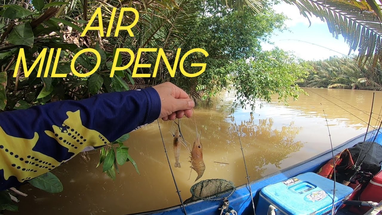 AIR MILO AIS‼️HANYA PEMANCING JIWA KENTAL SPT KAMI SANGGUP REDAH AIR INI Siri#237 #fishing#uglystik