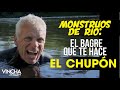 Monstruos de rió: EL BAGRE QUE TE HACE EL CHUPÓN