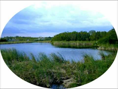 Patrick Bateman — patrick bateman - everglades (original mix)