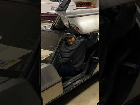 stainless steel Delorean: Gull wing door