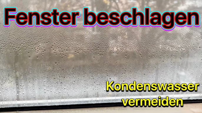 Beschlagene Fenster: Diese Hausmittel helfen wirklich