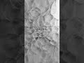 TouchDesigner POPs : Flow Field