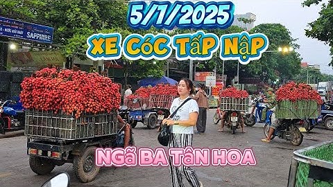 Chợ Vải Thiều Ngã Ba Tân Hoa Cực Nhiều Xe Cóc l Núi Đồi Lục Ngạn