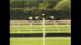 1981 Ruffian Stakes - Relaxing