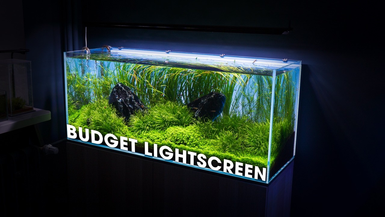 IS THIS THE BEST BUDGET AQUARIUM BACKLIGHT?