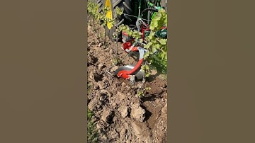ALL NEW Clemens Radius D Undervine Vineyard Weeder - Mechanical Weed Control