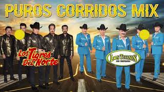 Los Tucanes De Tijuana vs Los Tigres Del Norte - Puros Corridos Mix - Corridos 2023