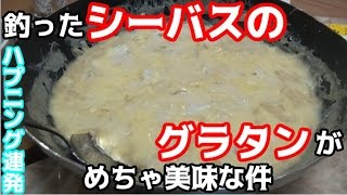 カズさんと釣ったシーバスの焦げ目のないグラタンが激ウマだった